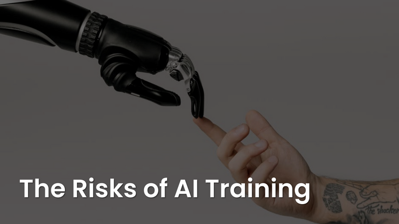 The Risks of AI